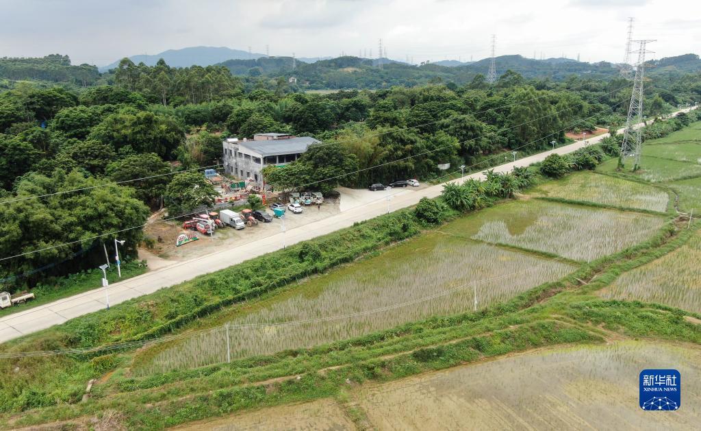 信誉赌盘线上